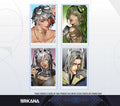 Operator Holographic Photocards